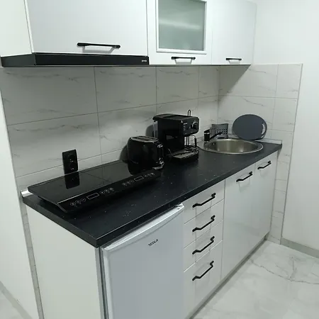 Garfield Family 2 索科矿泉村