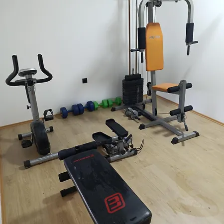 Garfield Family 2 * Sokobanja