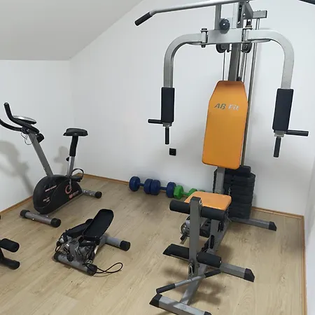 Garfield Family 2 Sokobanja