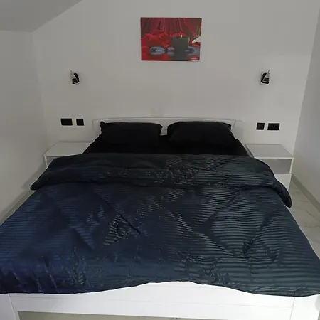 Garfield Family 2 * Sokobanja