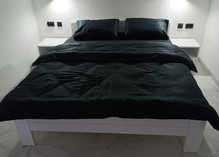 Garfield Family 2 소코 반자