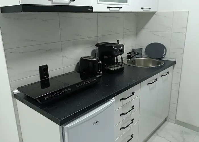 Garfield Family 2 소코 반자