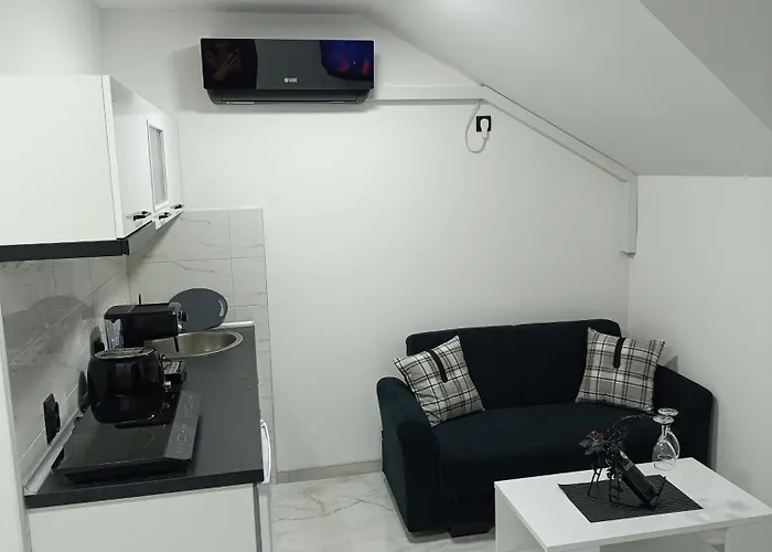 Garfield Family 2 소코 반자