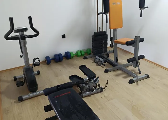 Garfield Family 2 * 소코 반자