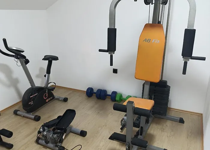 Garfield Family 2 소코 반자