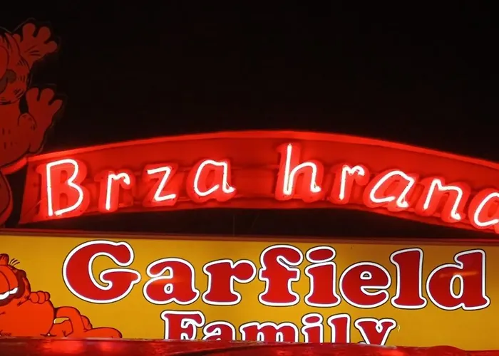 Garfield Family 2 소코 반자